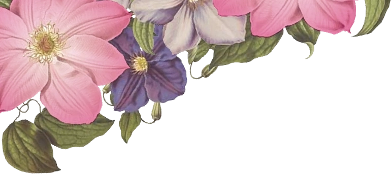 Header-Flowers-Left Flowers