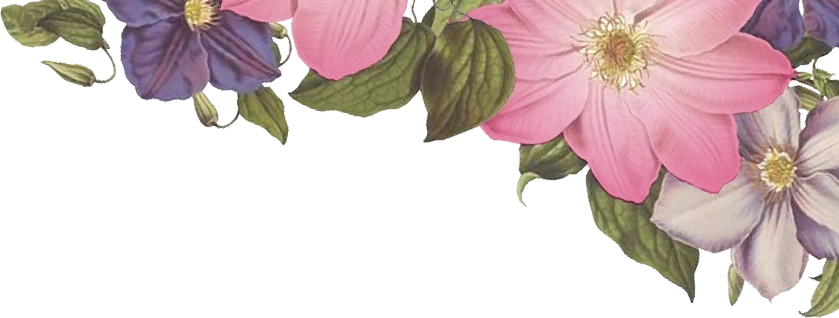 Header-Flowers-Right Flowers